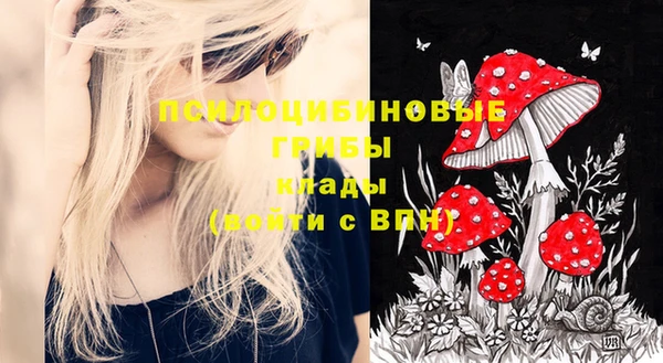 кокс Пересвет