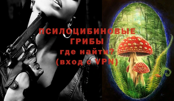 крисы Грязовец
