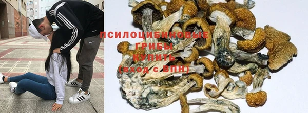 кокс Пересвет