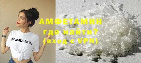 гашик Осинники