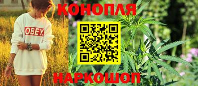 MDMA Гай