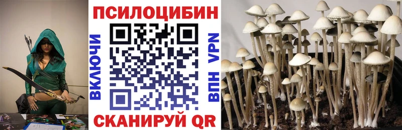 Галлюциногенные грибы Psilocybe  как найти наркотики  KRAKEN   Торжок 