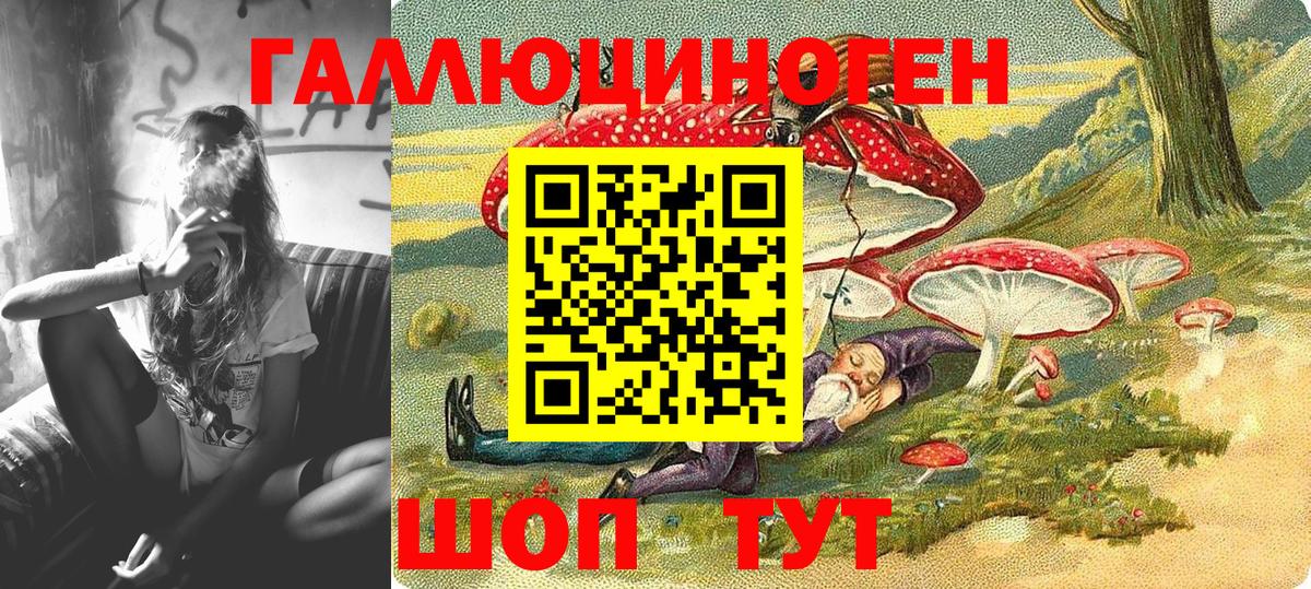 Псилоцибиновые грибы Psilocybine cubensis Торжок