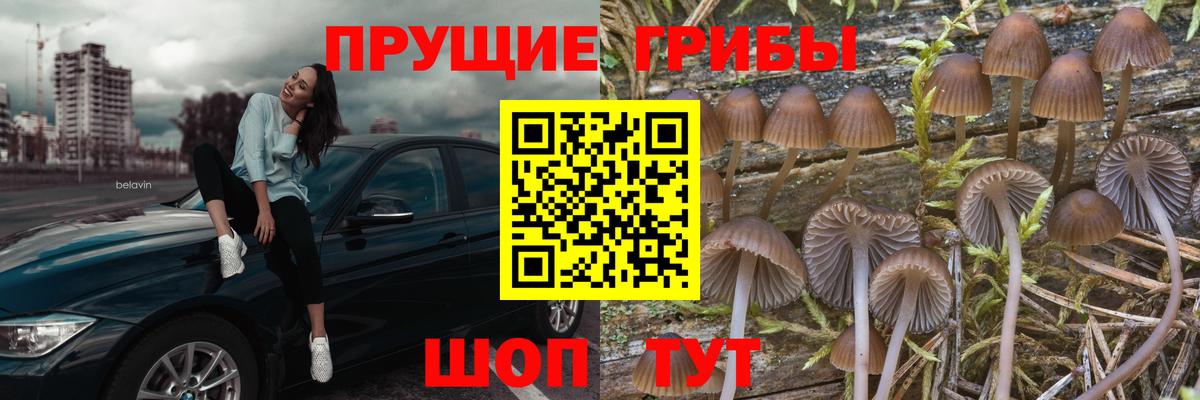 Канабис  Торжок  Вход с VPN  КОКАИН  Хэш  Меф  ГАШИШ 